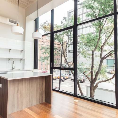 Luxury Pet Friendly Apartments In River North Chicago The Ardus Luxury Pet Friendly Apartments In River North Chicago The Ardus