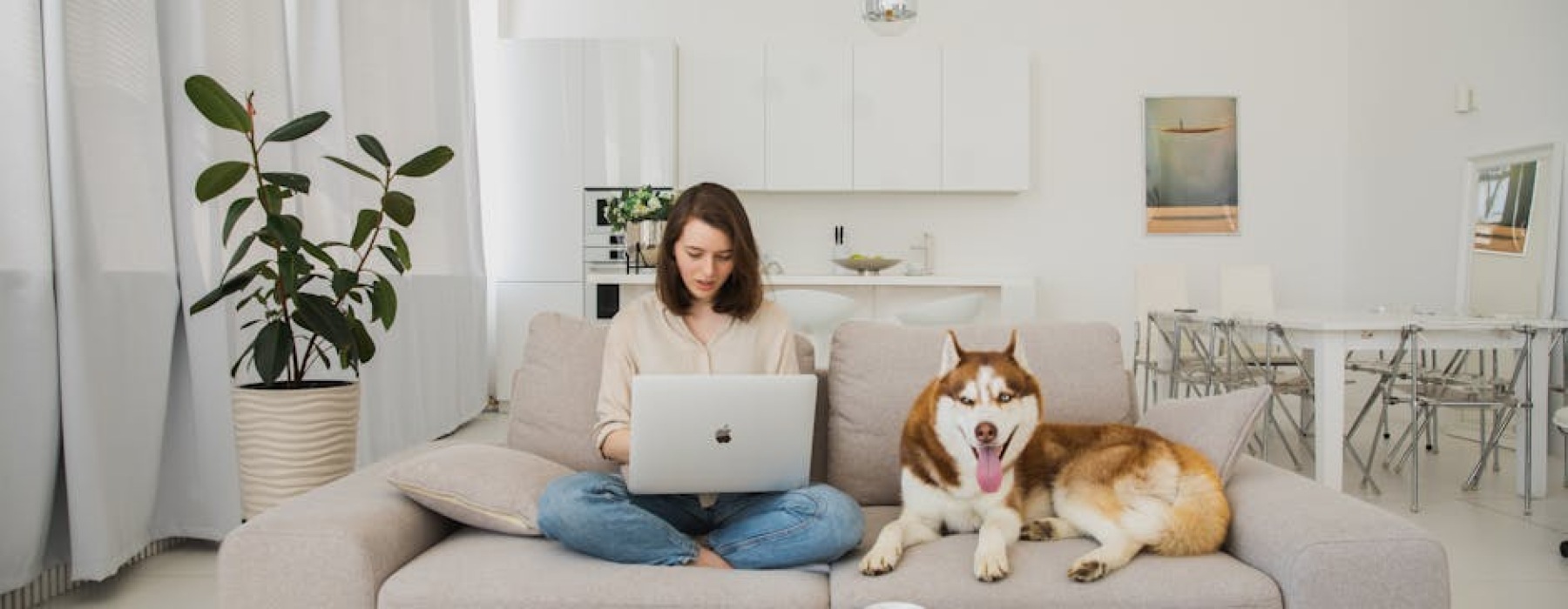 pet friendly apartments Chicago IL