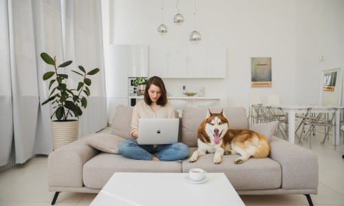 pet friendly apartments Chicago IL