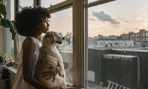 Pet friendly apartments Chicago - Pet Friendly Apartments Chicago