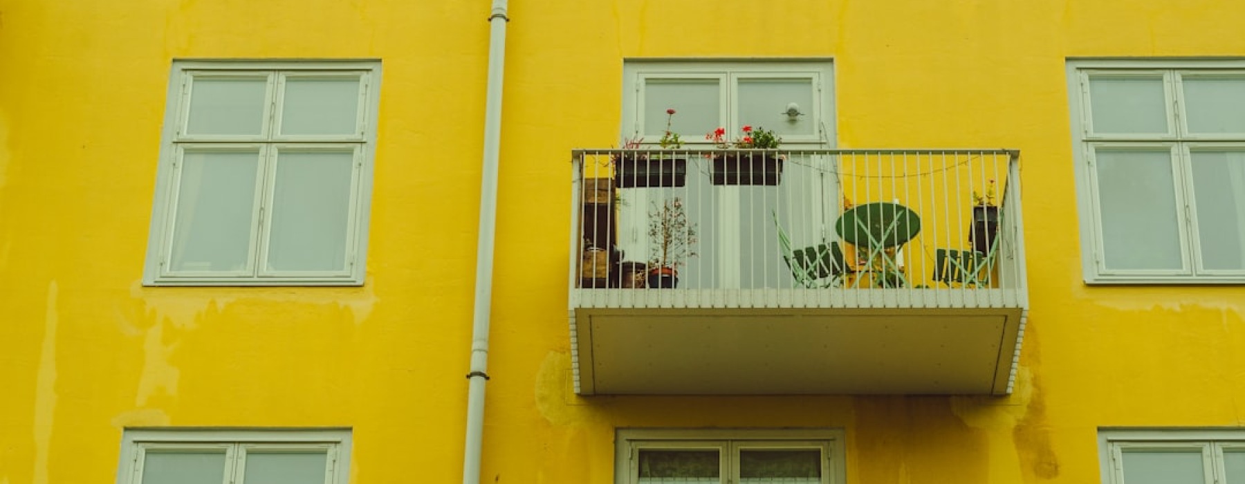 apartment complex pet friendly - apartment complex pet friendly