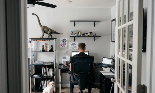 pet friendly studio apartments - pet friendly studio apartments