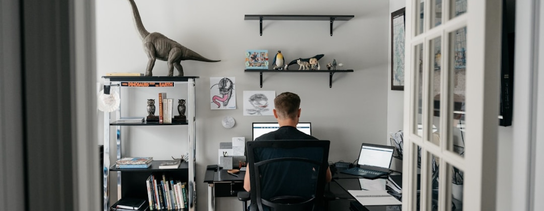 pet friendly studio apartments - pet friendly studio apartments