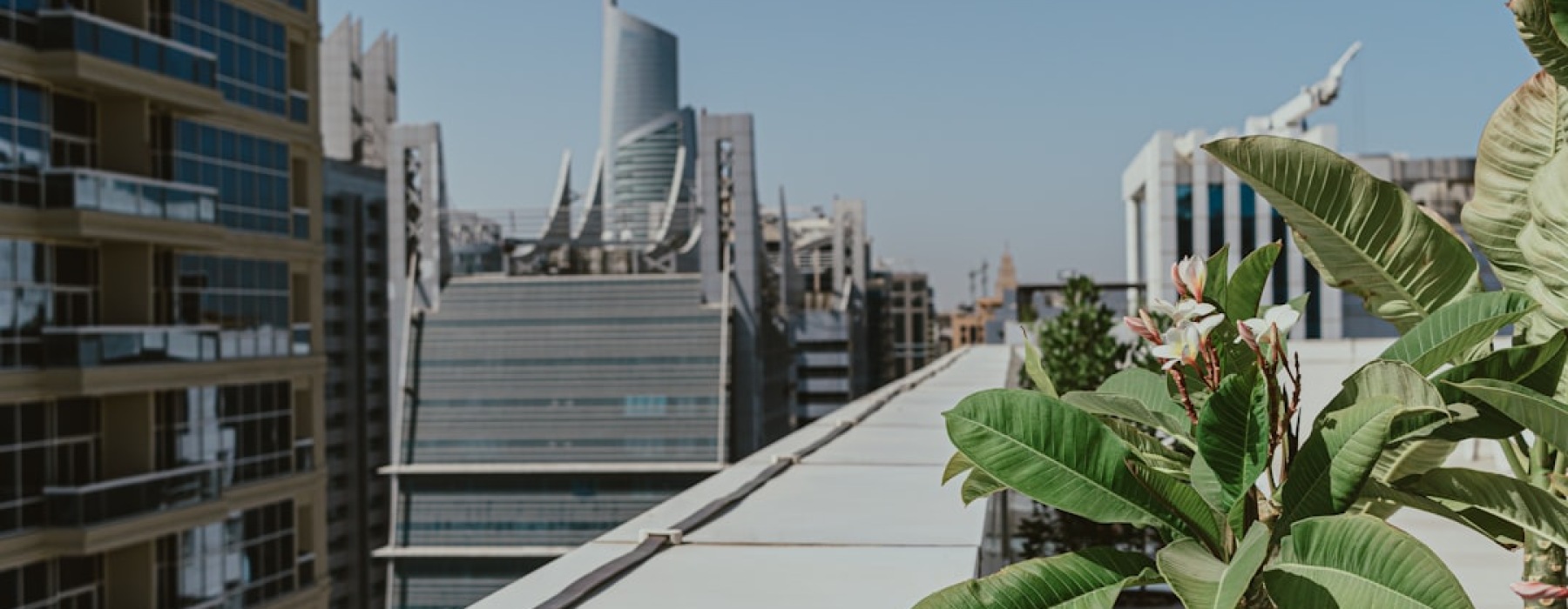 modern apartment rooftop garden - green space apartments
