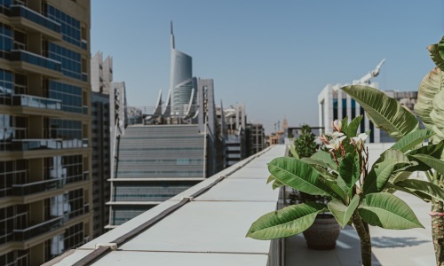 modern apartment rooftop garden - green space apartments